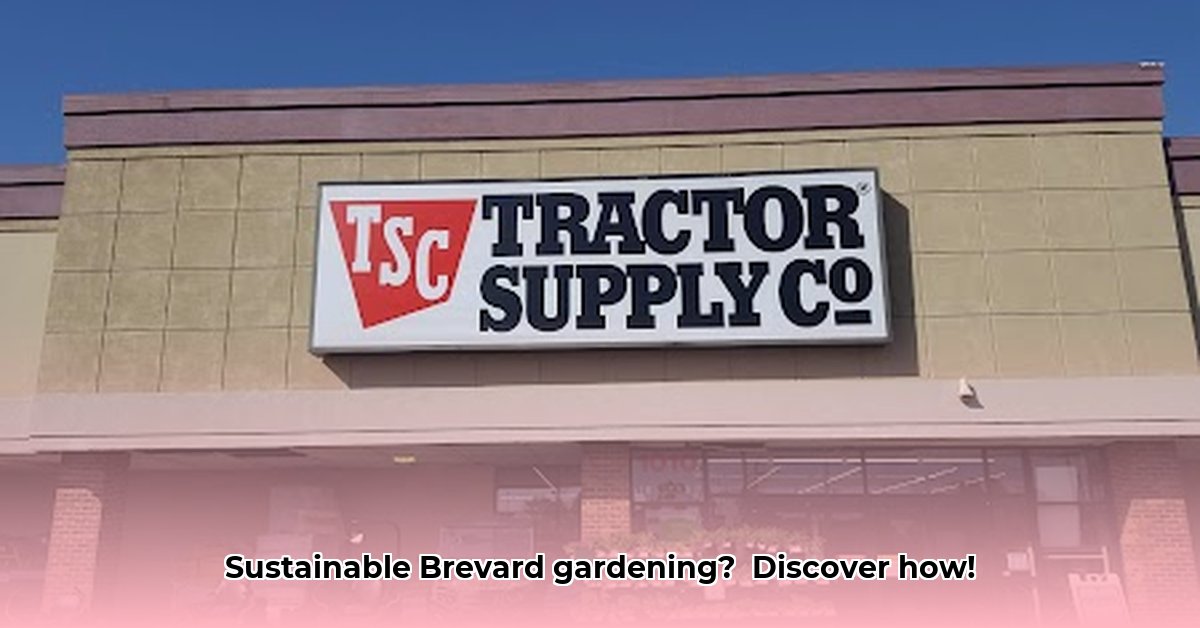 tractor-supply-brevard-nc